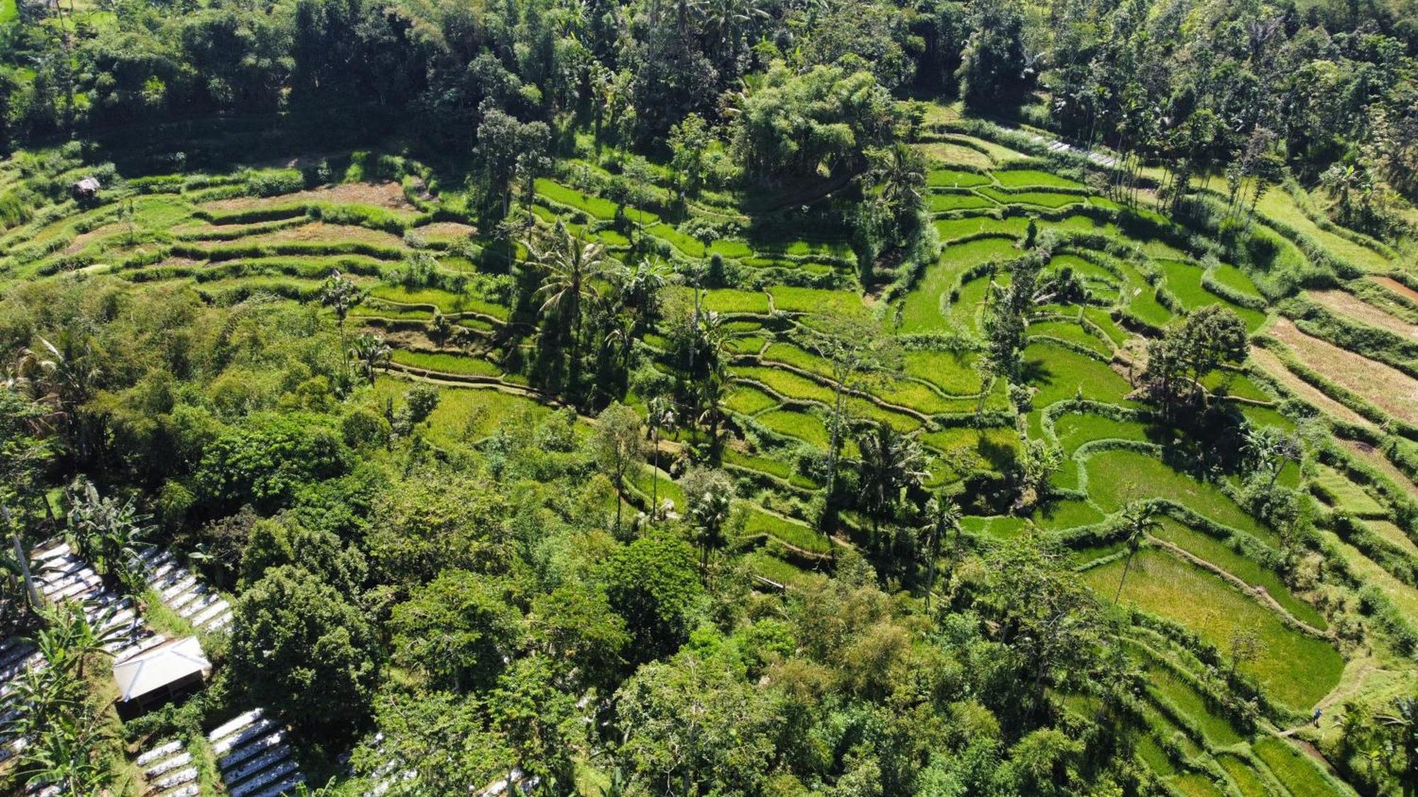 Nan Bungalows Tetebatu Buitenkant foto