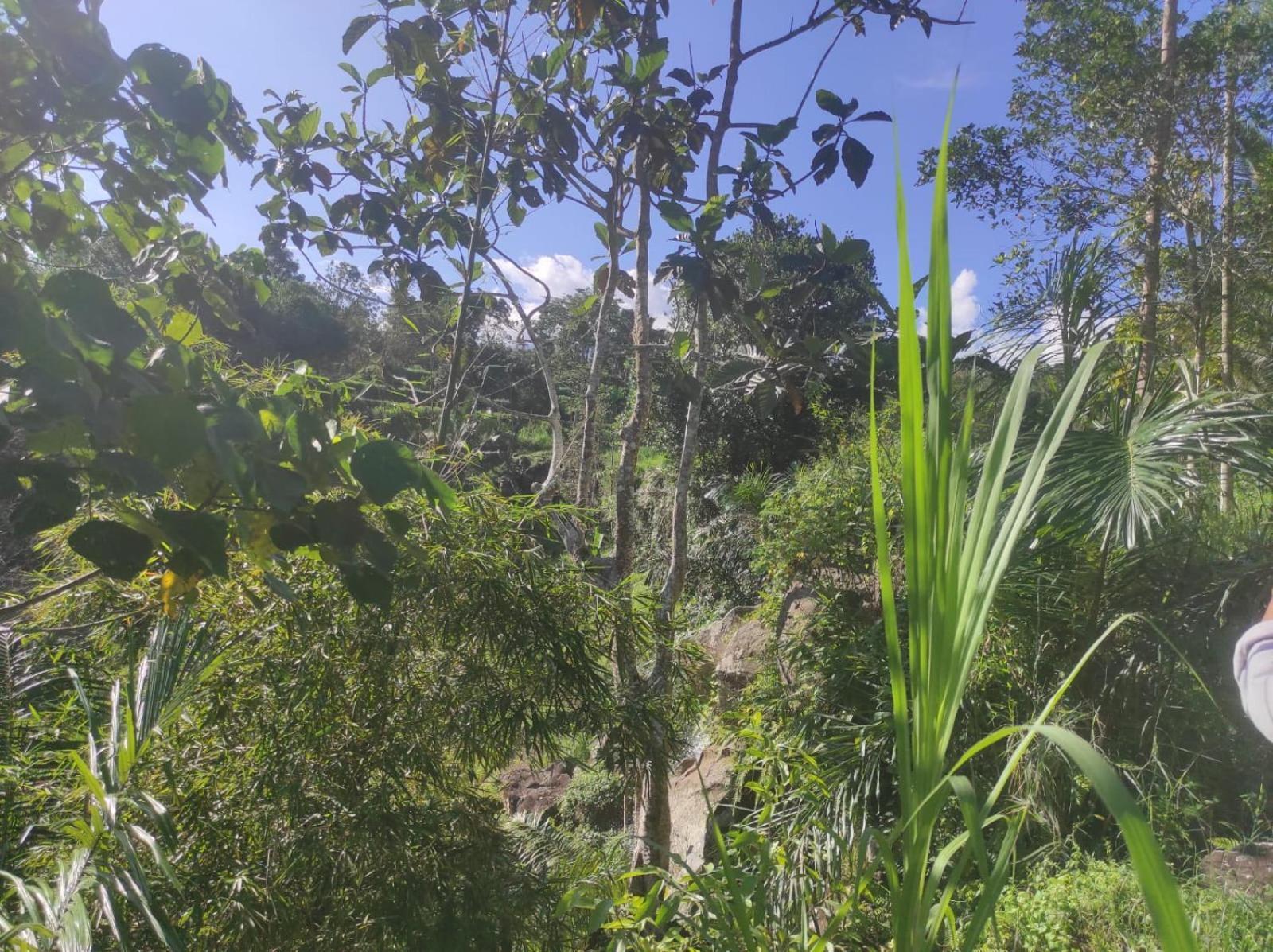 Nan Bungalows Tetebatu Buitenkant foto