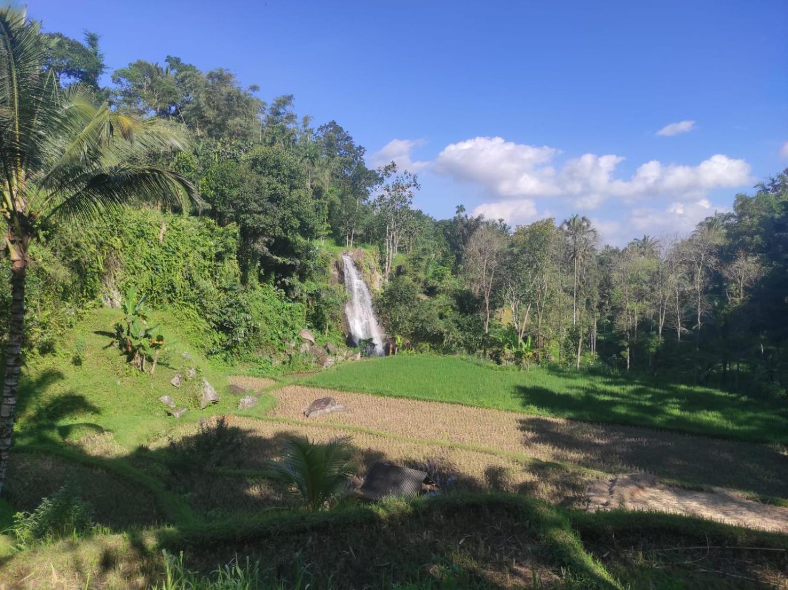 Nan Bungalows Tetebatu Buitenkant foto