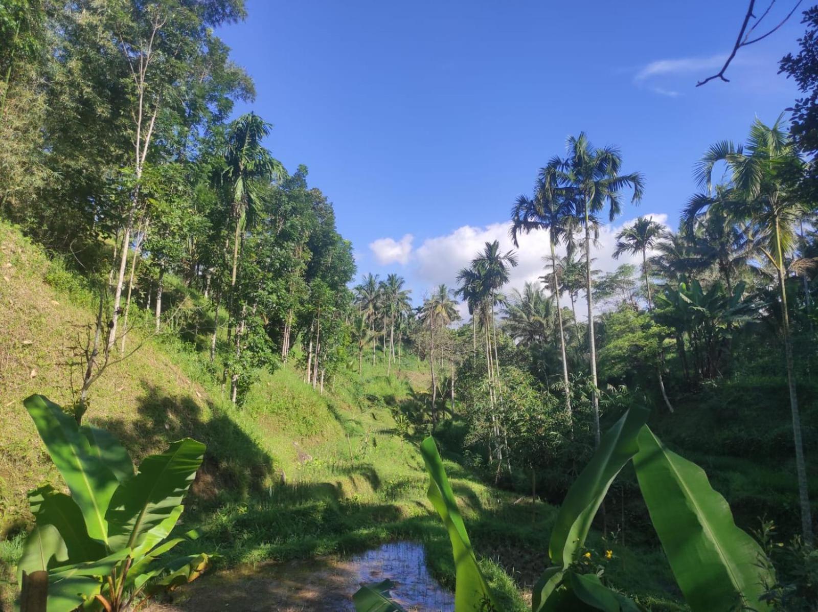 Nan Bungalows Tetebatu Buitenkant foto