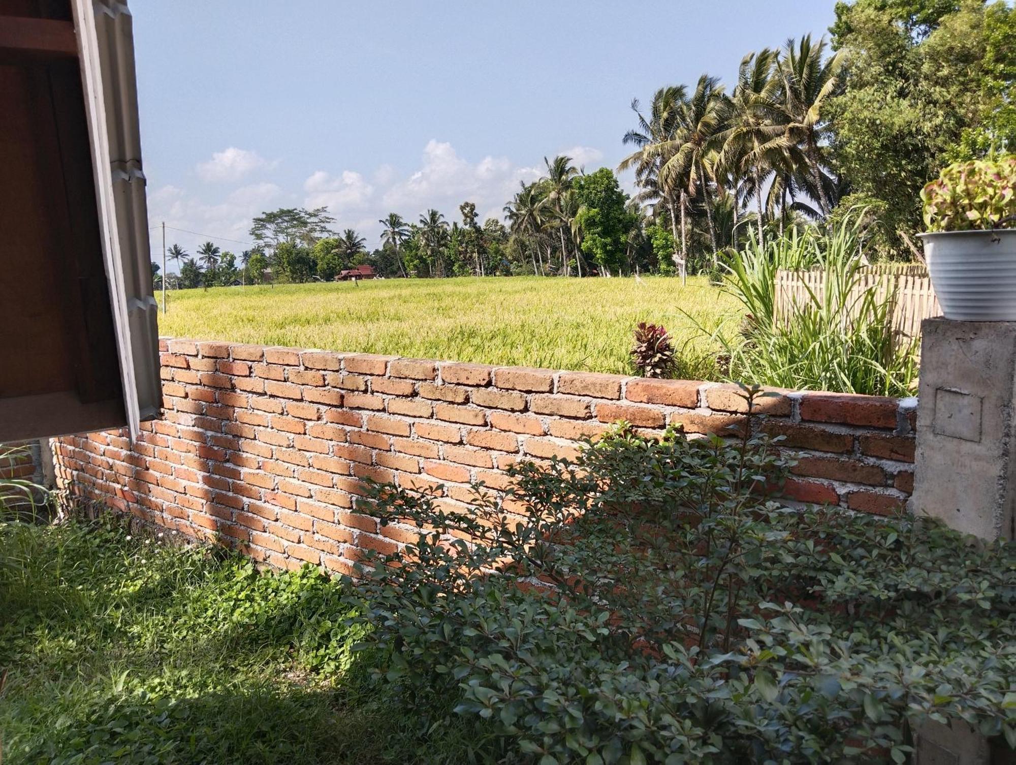 Nan Bungalows Tetebatu Buitenkant foto