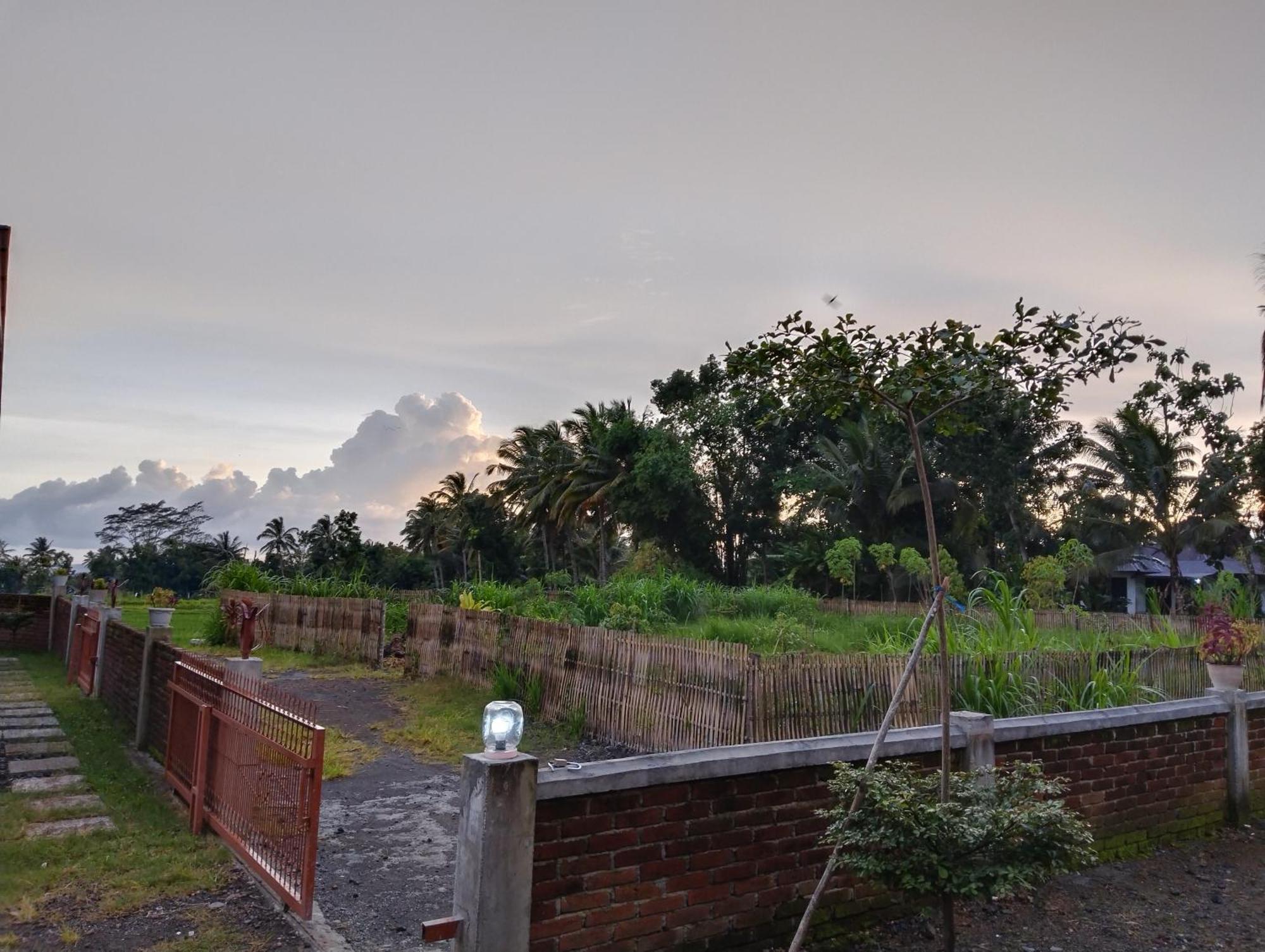 Nan Bungalows Tetebatu Buitenkant foto